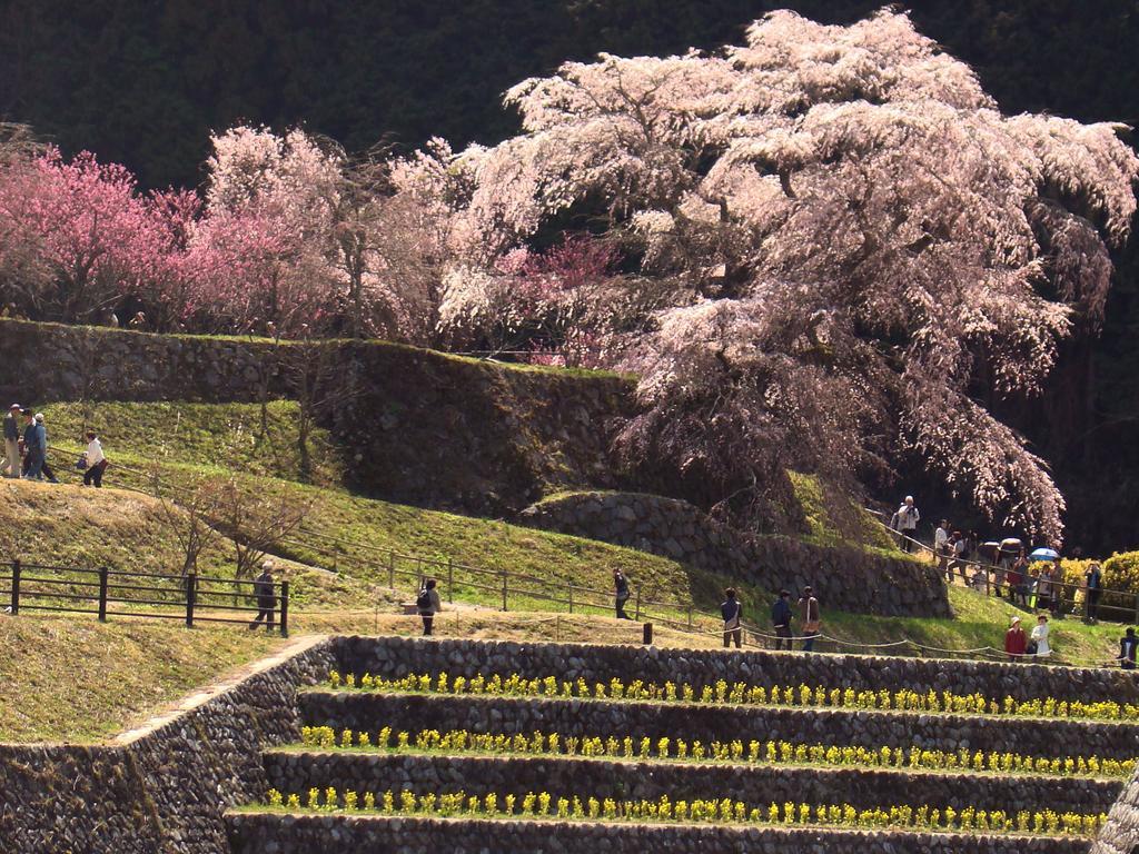 Hotel Yamabe Tenri Zewnętrze zdjęcie